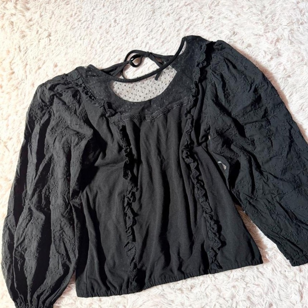 Whimsygoth Dark Cottage Core Embroidered Puff Sleeve Ruffle Top Womens L Prairie